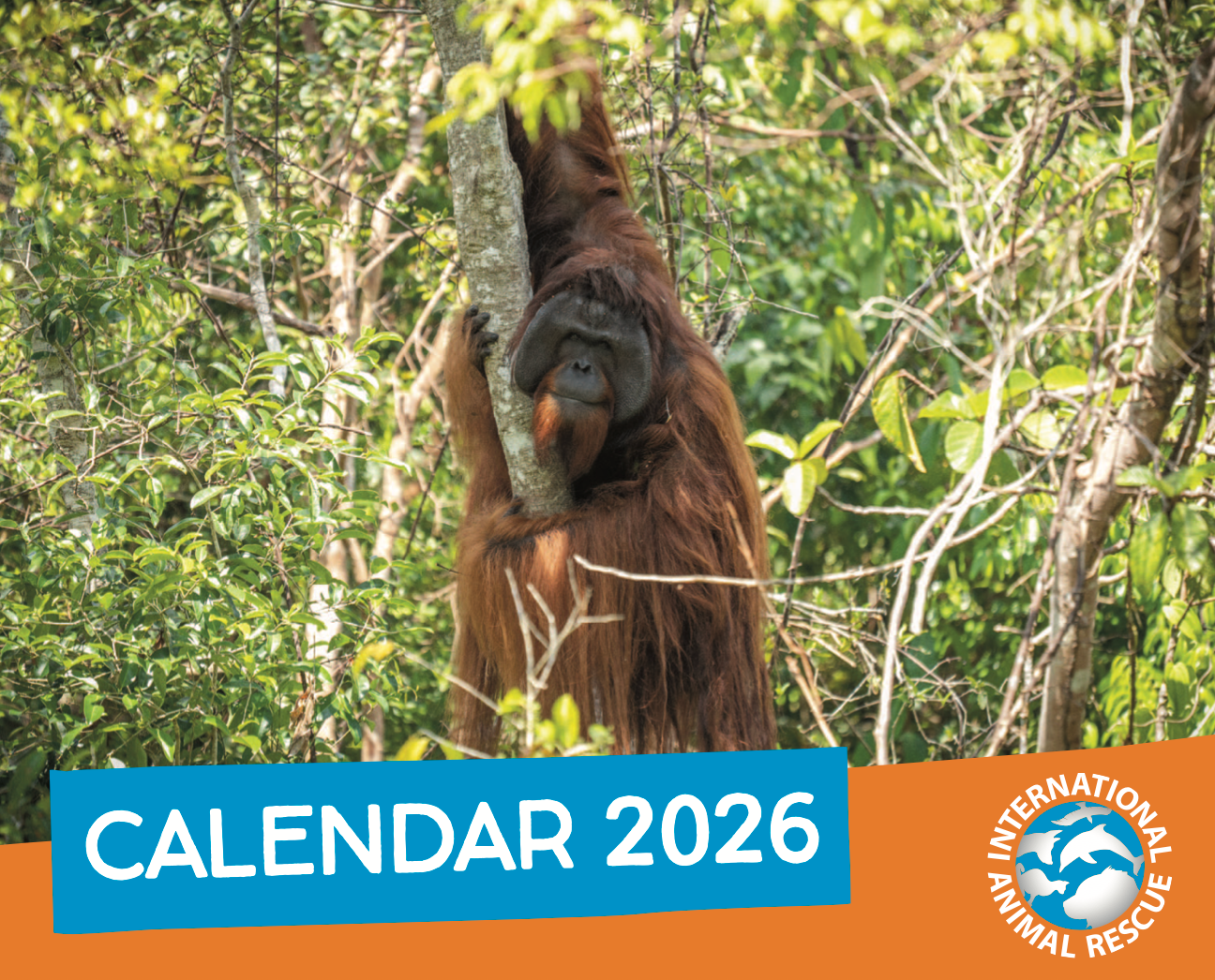 Calendars