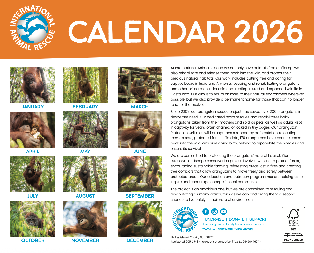 Orangutan Calendar 2026