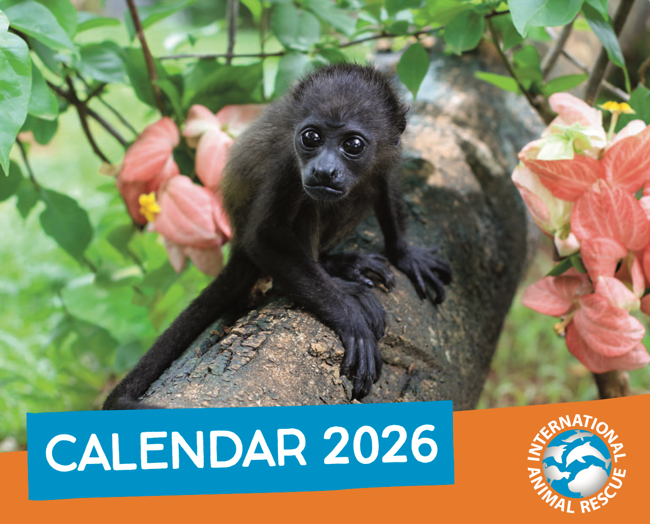 IAR Calendar 2026