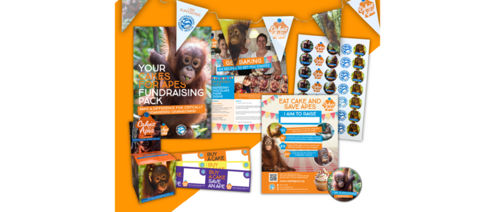 Cakes for Apes Bundle