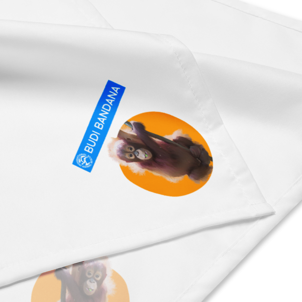 Budi Pet Bandana