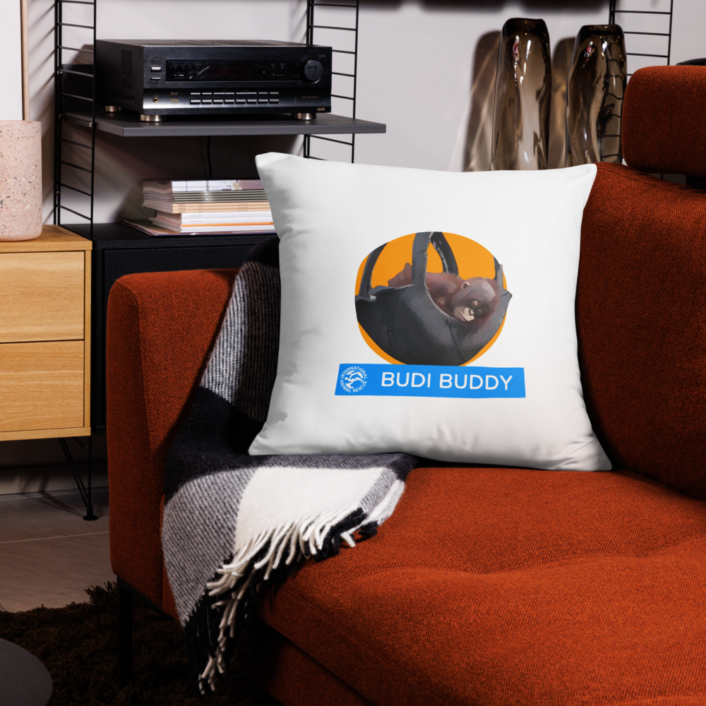Budi Pillow