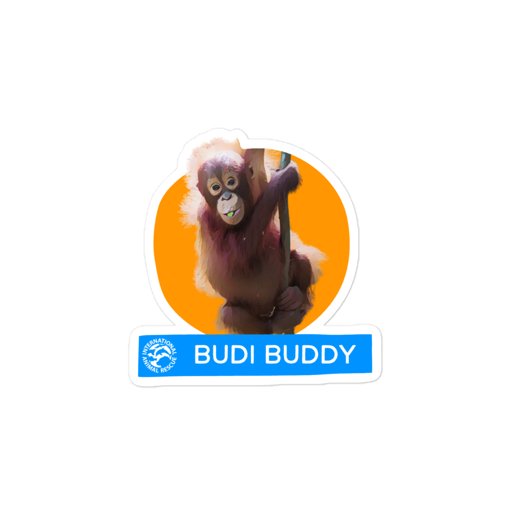 Budi Sticker