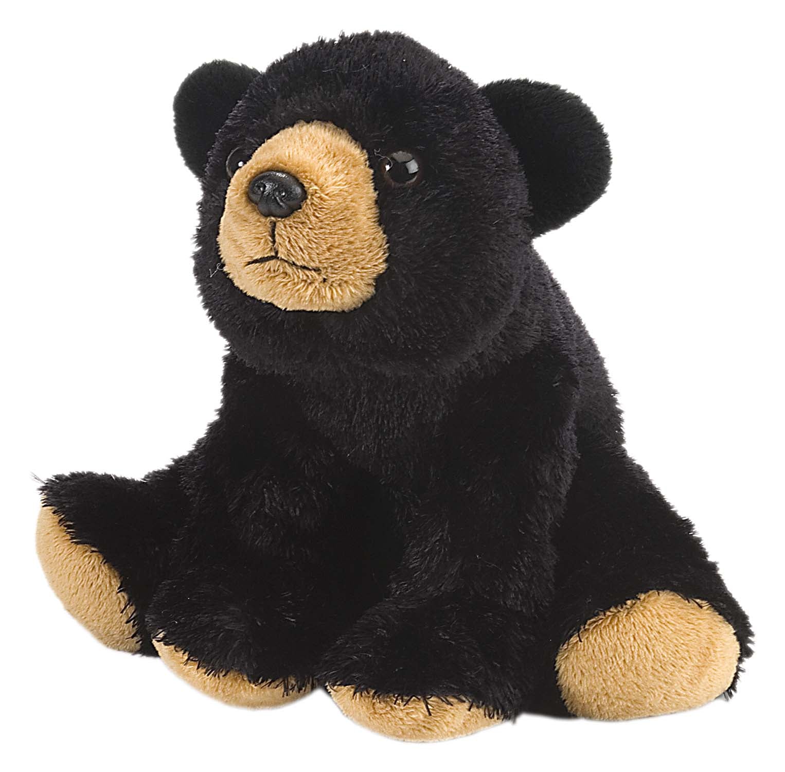 Black Bear Soft Toy