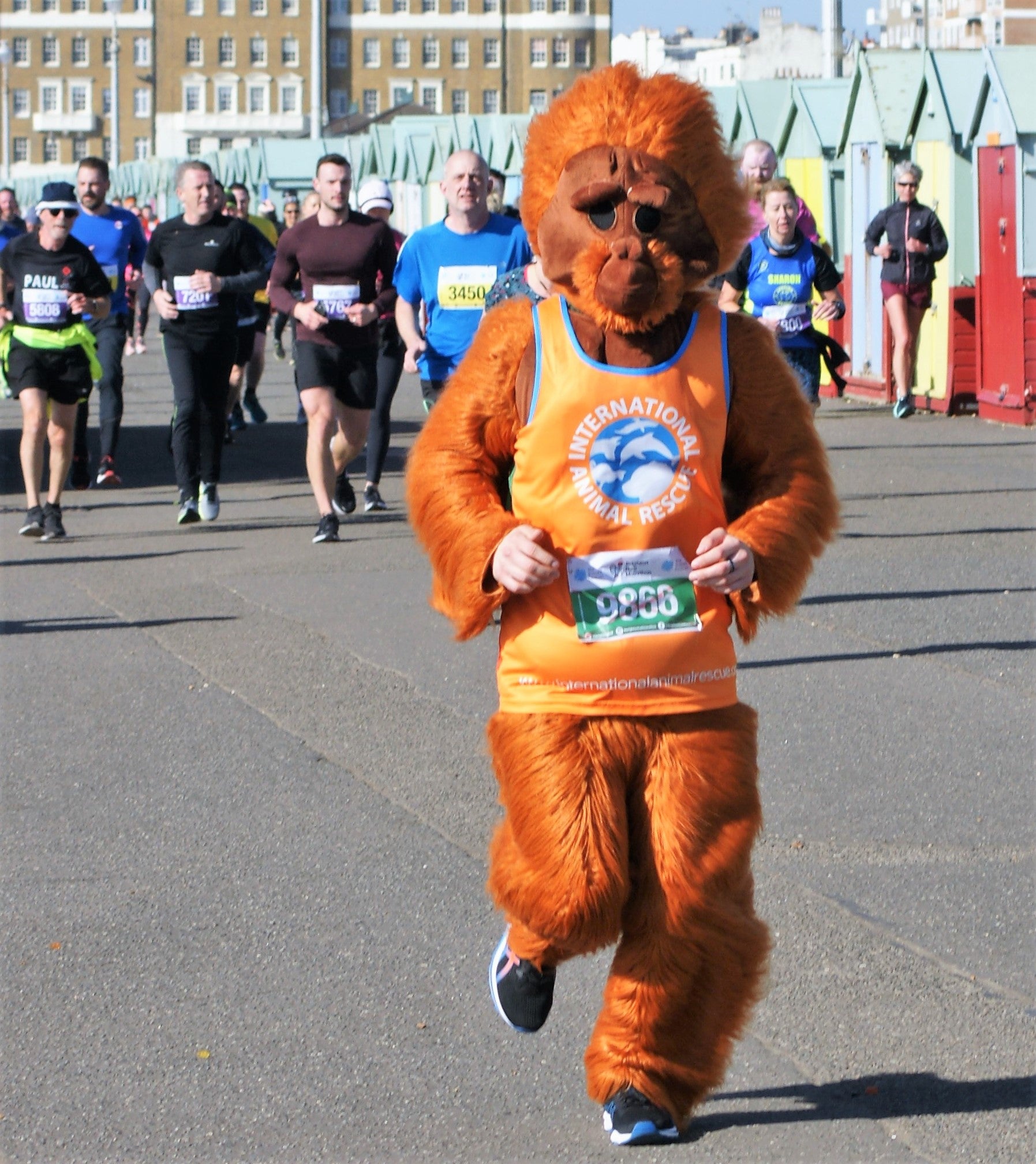 Brighton Half Marathon 2025