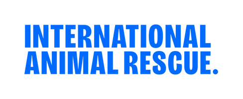 International Animal Rescue
