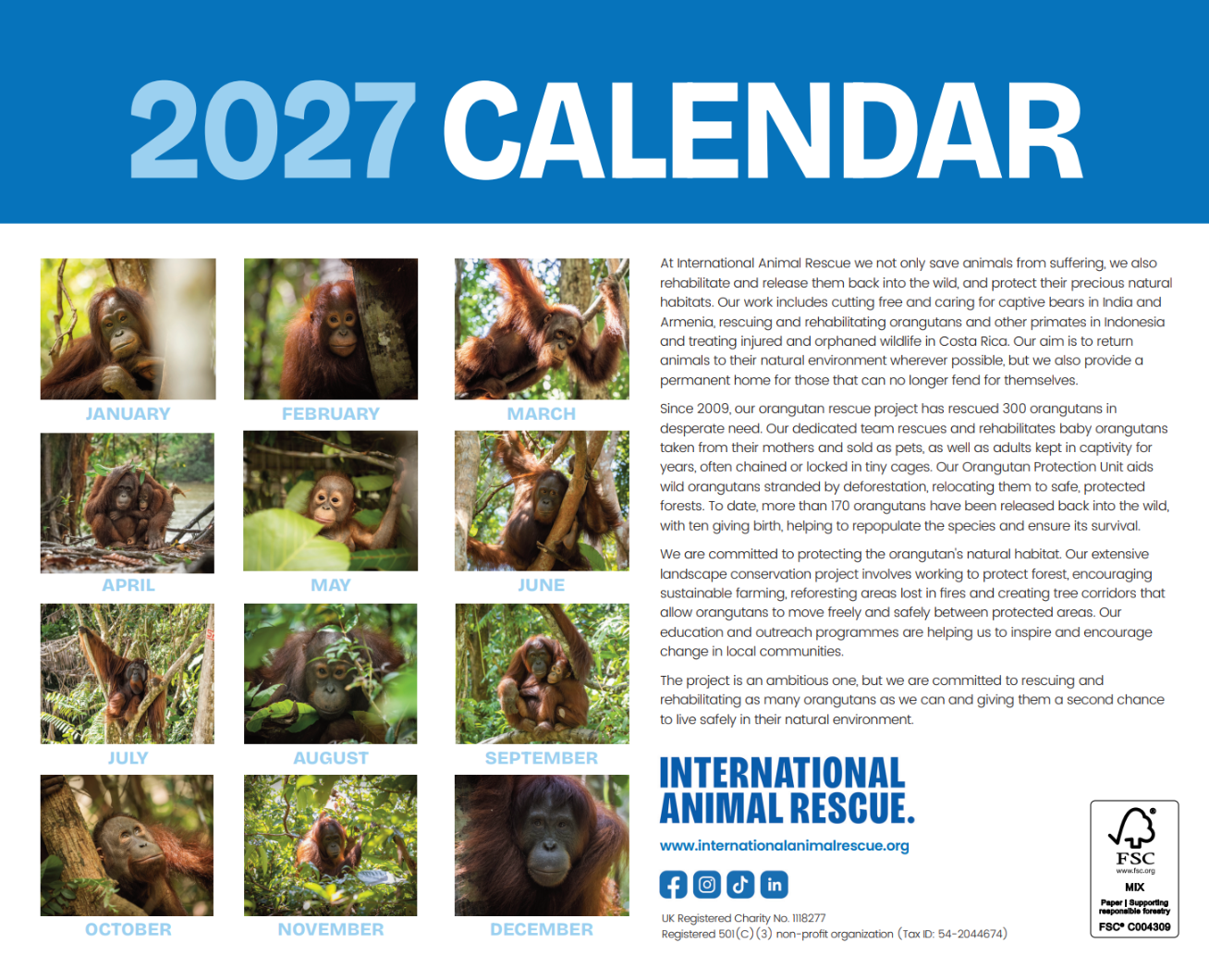 Orangutan Calendar 2027