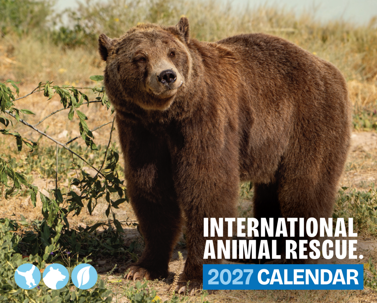 IAR Calendar 2027