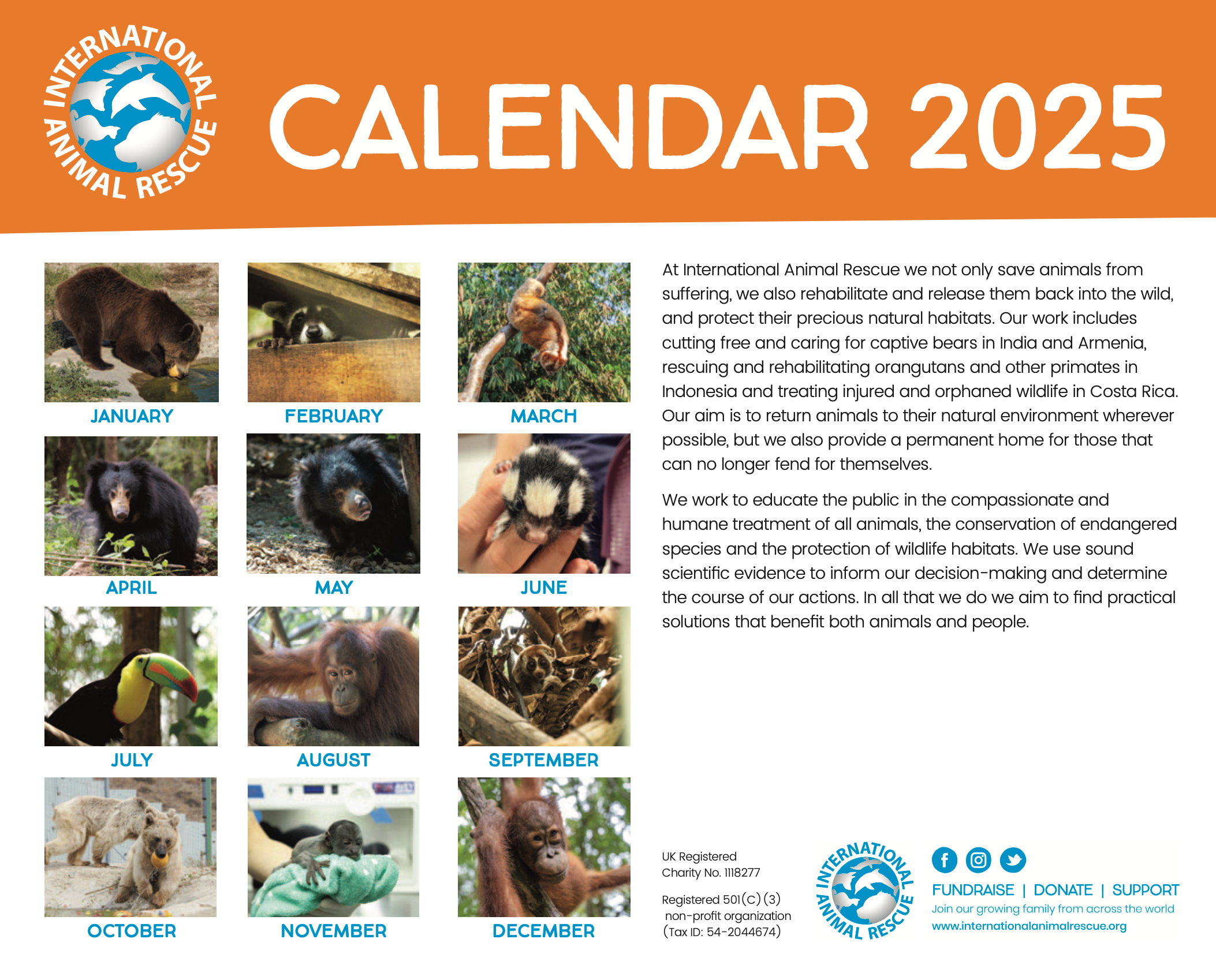 IAR Calendar 2025