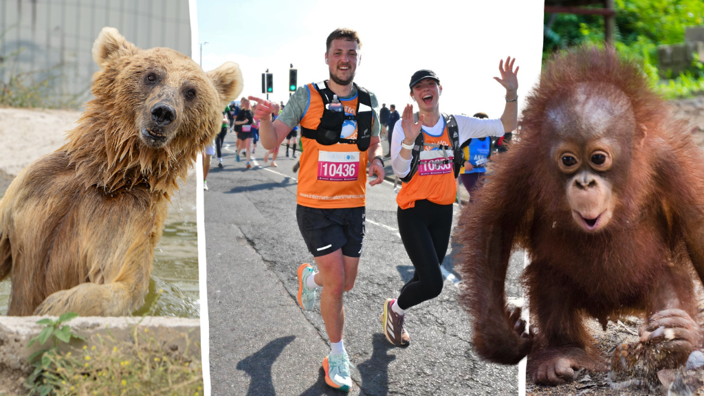 2027 Liverpool Half Marathon