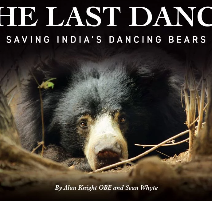 The Last Dance - Bear Book